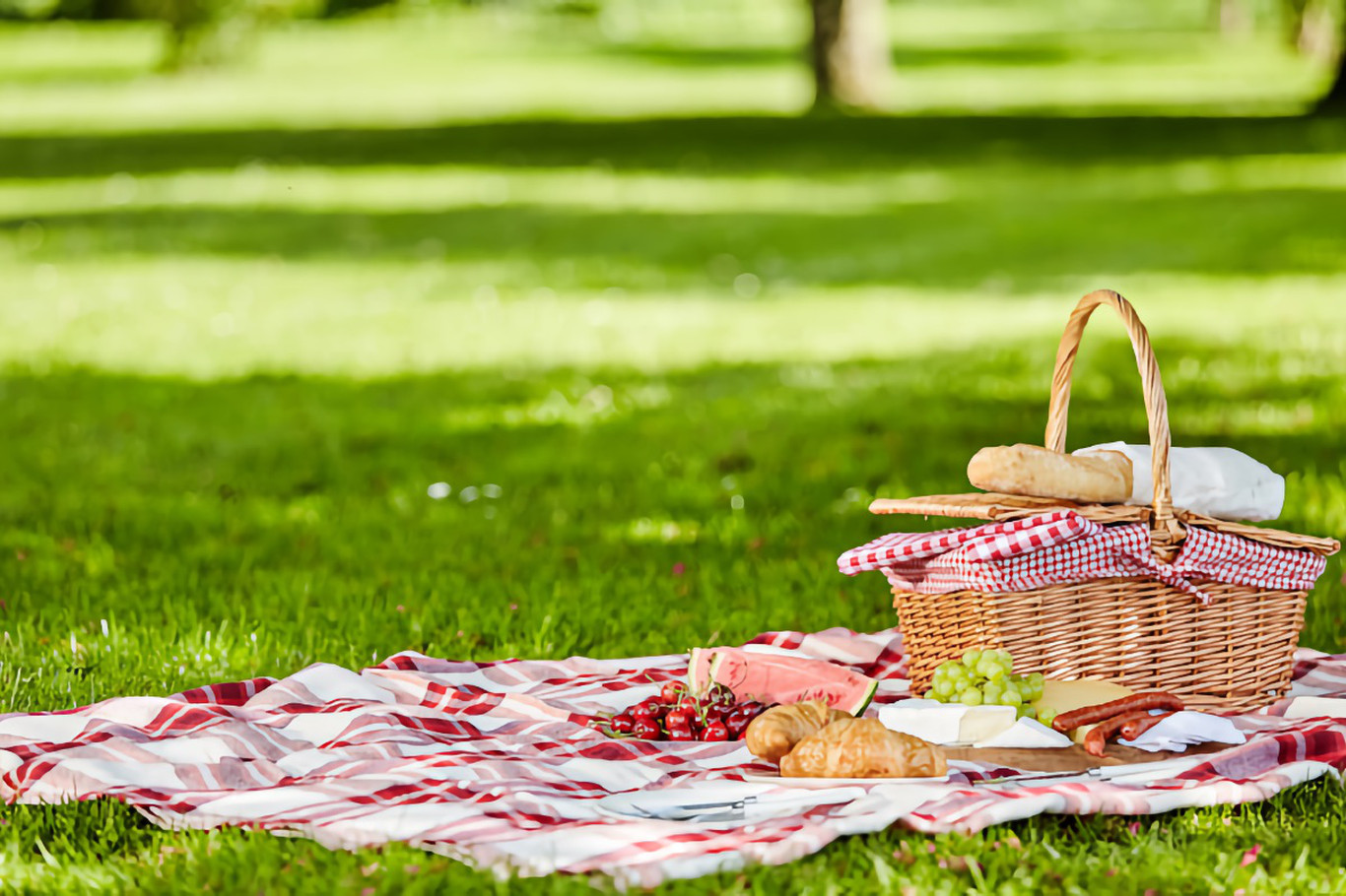 Family Picnic